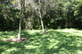 Enlarge photo 79