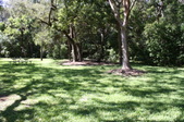 Enlarge photo 80
