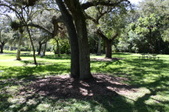 Enlarge photo 81