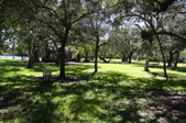 Enlarge photo 82