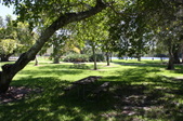 Enlarge photo 83