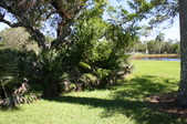Enlarge photo 84