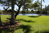 Enlarge photo 85