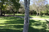 Enlarge photo 88
