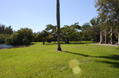 Enlarge photo 90