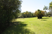 Enlarge photo 91