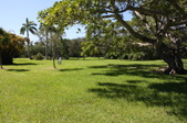 Enlarge photo 93