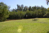 Enlarge photo 95