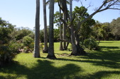 Enlarge photo 96