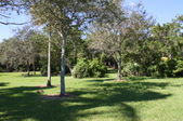 Enlarge photo 97