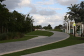 Enlarge photo 95