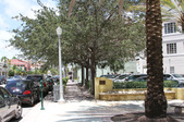 Enlarge photo 218