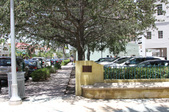 Enlarge photo 217