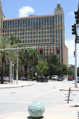 Enlarge photo 229
