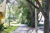 Enlarge photo 71