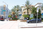 Enlarge photo 81