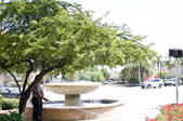 Enlarge photo 83