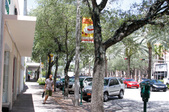 Enlarge photo 105