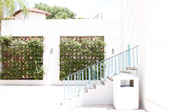 Enlarge photo 175