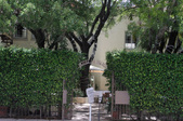 Enlarge photo 184