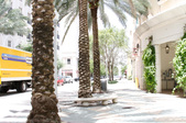 Enlarge photo 204