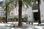 Enlarge photo 205