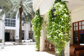 Enlarge photo 211