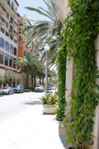 Enlarge photo 213