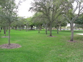 Enlarge photo 37