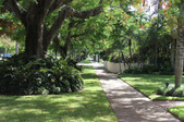 Historic South Miami Ave