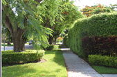 Enlarge photo 30