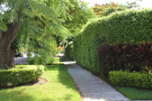 Enlarge photo 32
