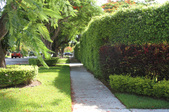 Enlarge photo 33