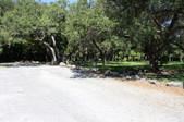 Matheson Park
