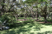 Enlarge photo 43