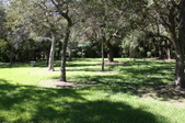 Enlarge photo 78