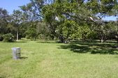 Enlarge photo 98