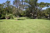 Enlarge photo 99