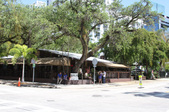 Enlarge photo 30