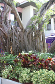 Enlarge photo 57