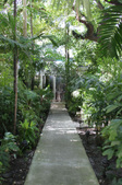 Enlarge photo 81