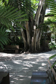 Enlarge photo 82