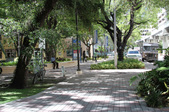 Enlarge photo 83