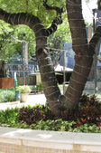 Enlarge photo 89