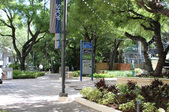 Enlarge photo 92