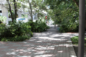 Enlarge photo 93