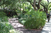 Enlarge photo 97