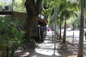 Enlarge photo 99