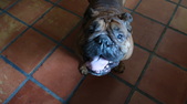Enlarge photo 23