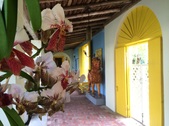 Enlarge photo 33